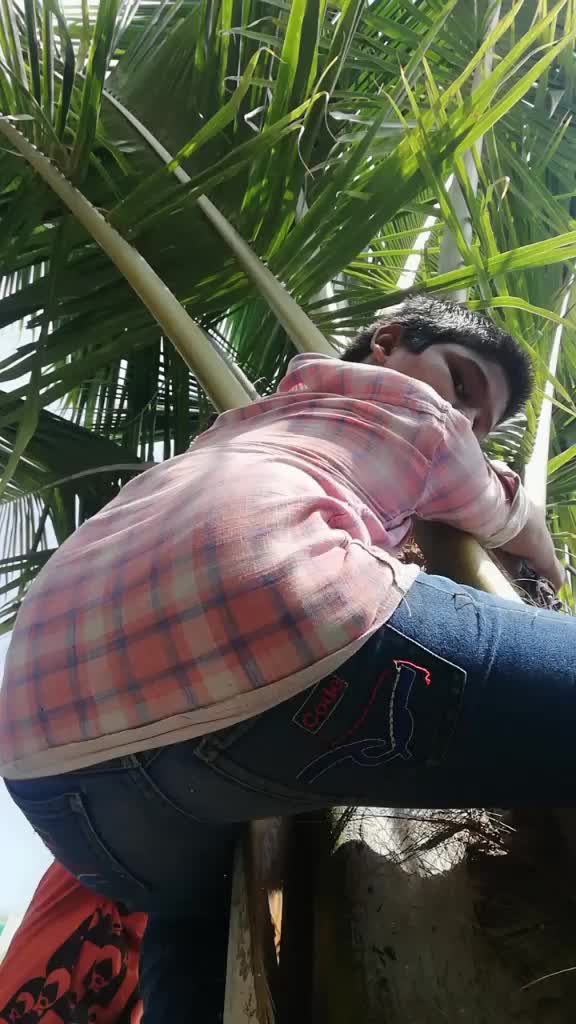 @user8532453527853