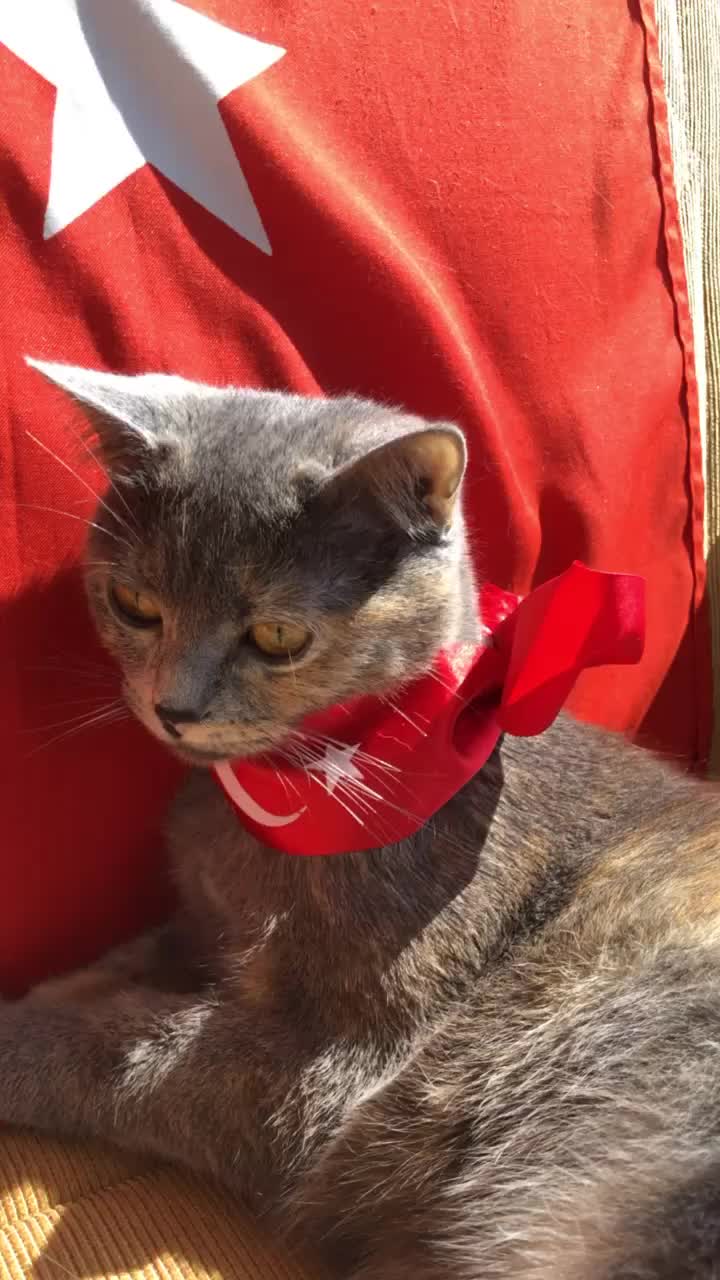 @Boncukun hesabı