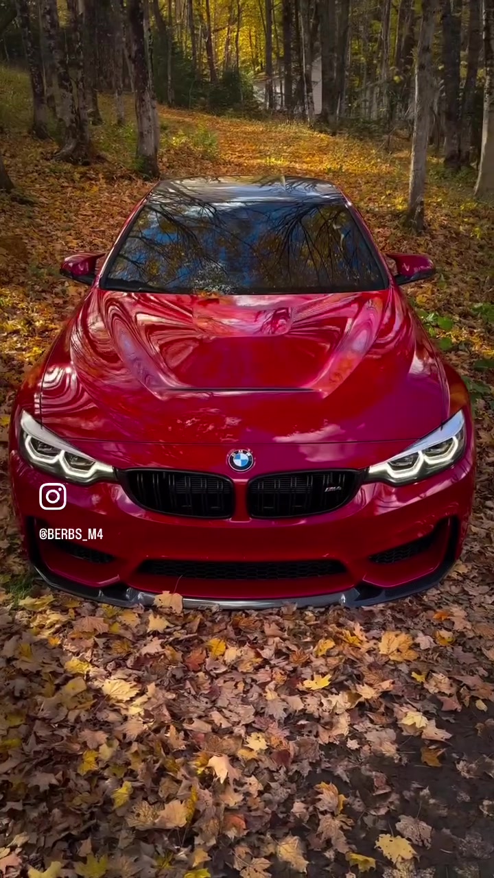 @berbs_m4