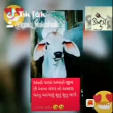 @ગૌ રક્ષક