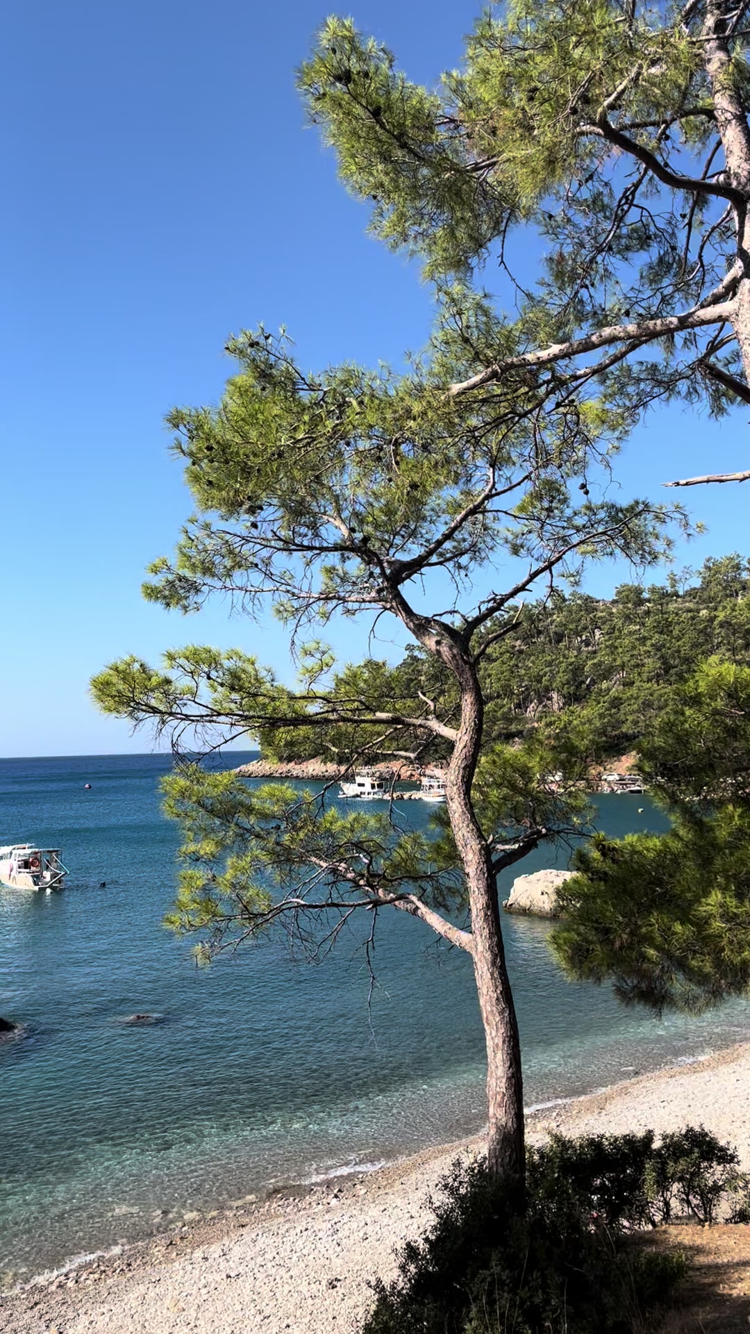 @Ali Sarı