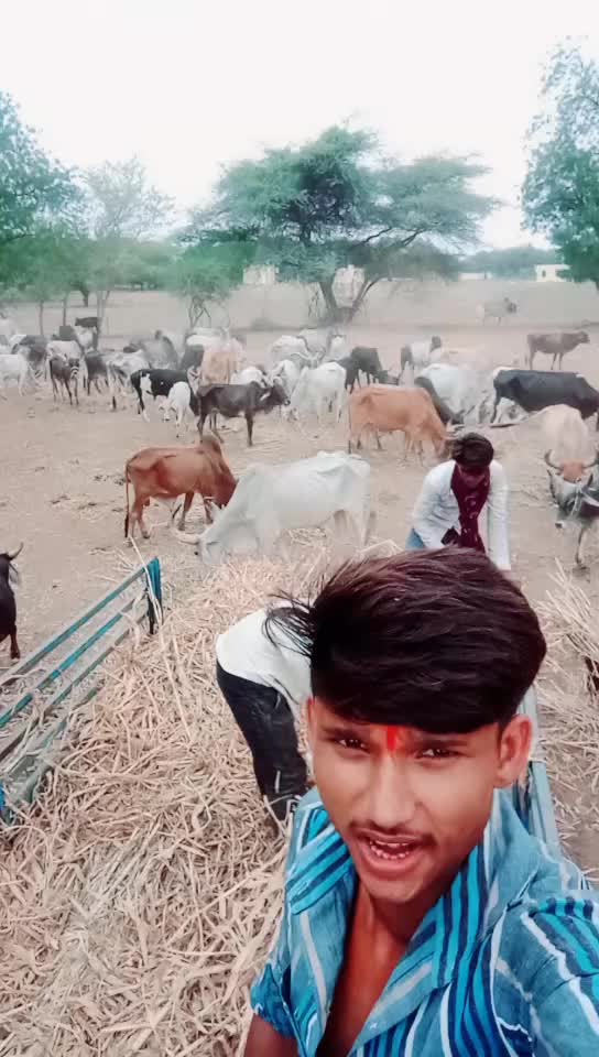 @Bharat Majiyatar42