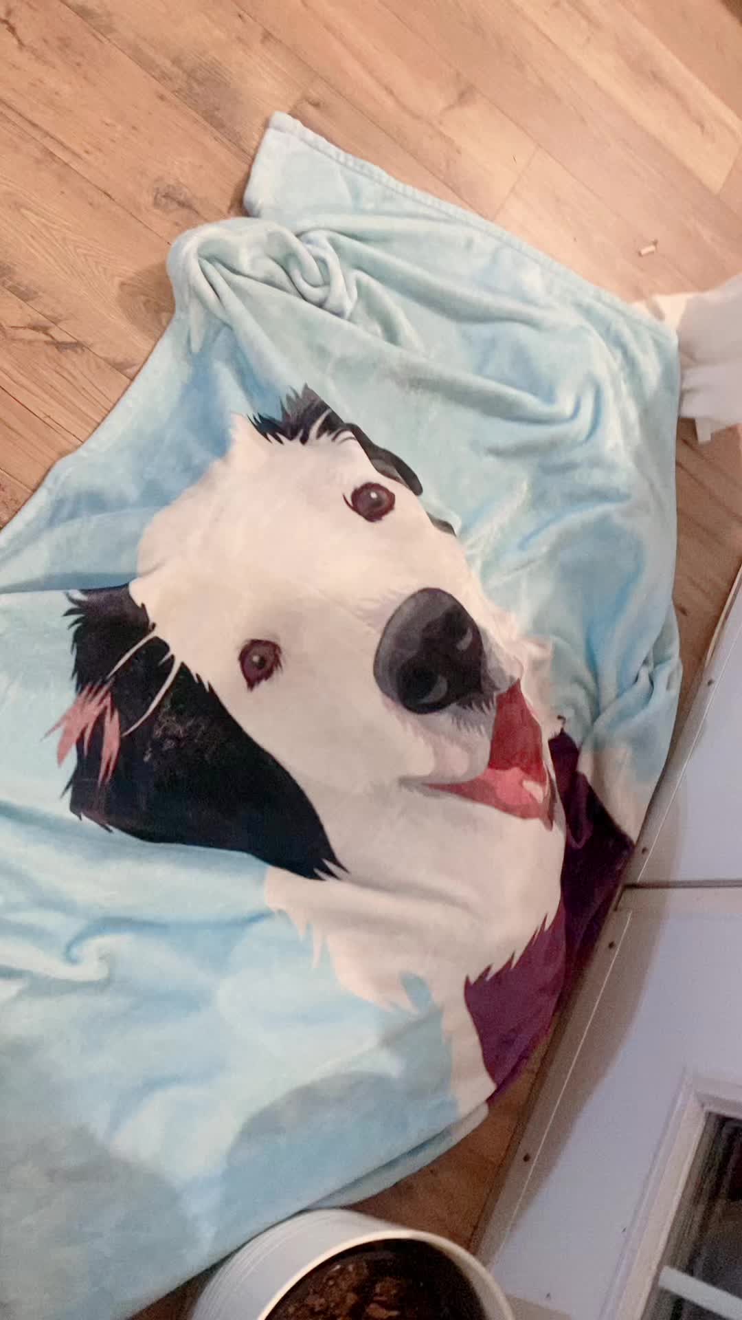 @baygiaussie