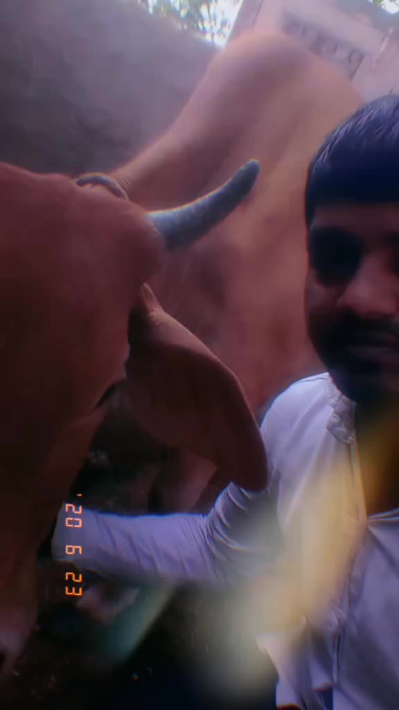 @Vijender Kumar