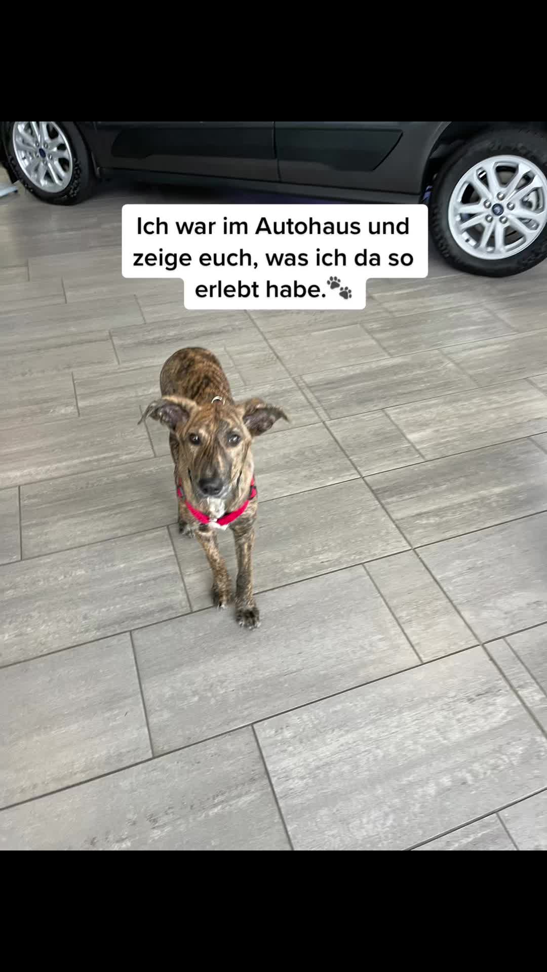 @nadiiineschmidt