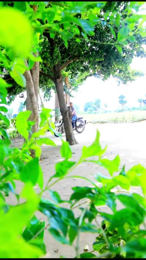 @Meet Chorasiya