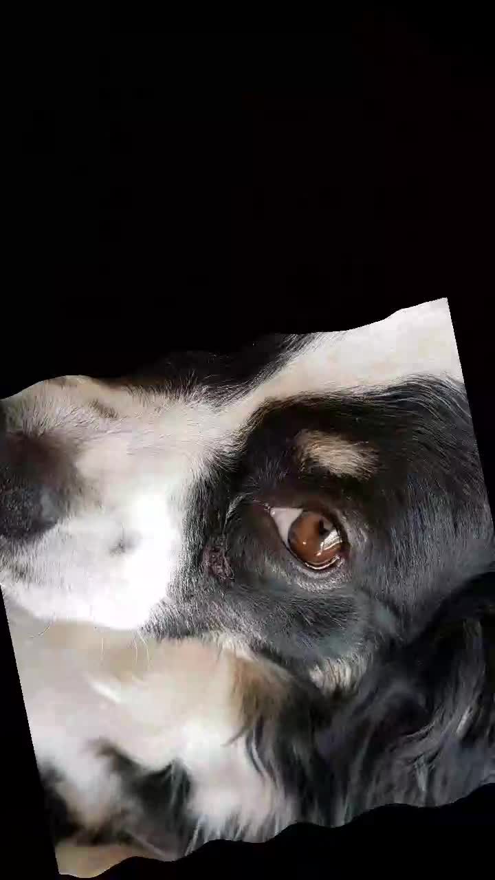 @nala