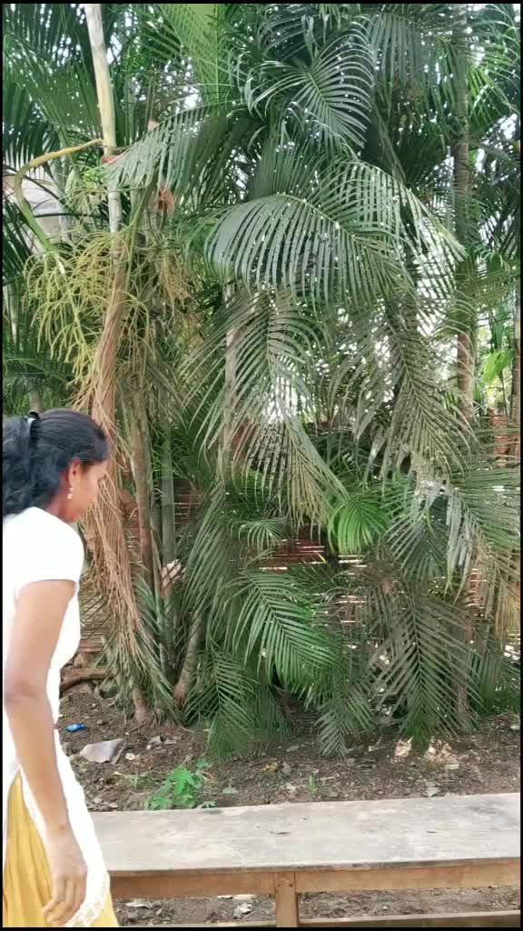 @vassusundar