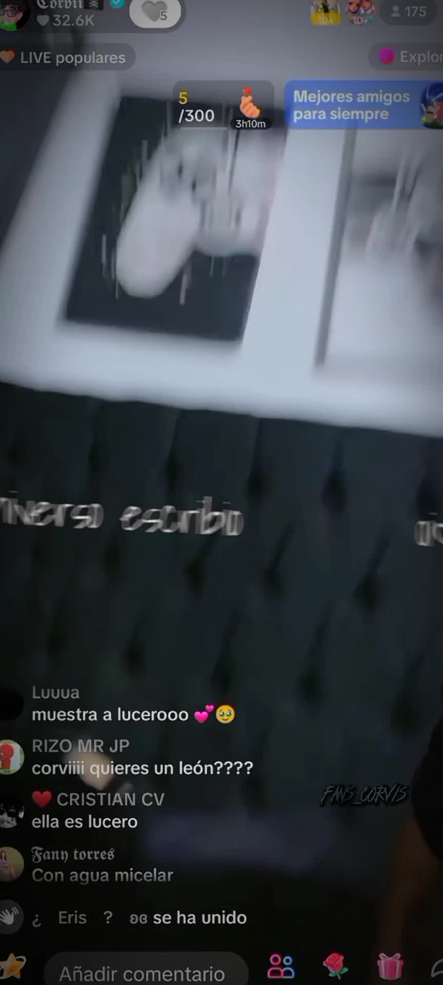 @corvis_fans🦖