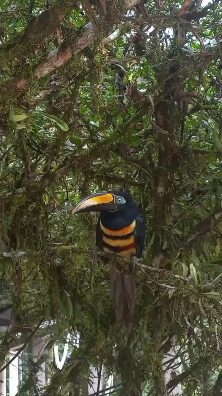 @María Paula Solarte.