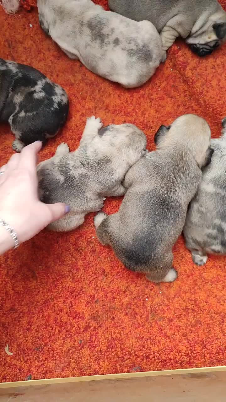 @ЧЕРТОВКА_В_КЕДАХ