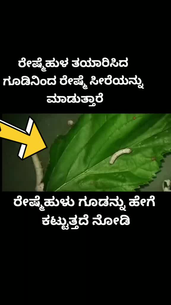 @Girish Bn Gowda