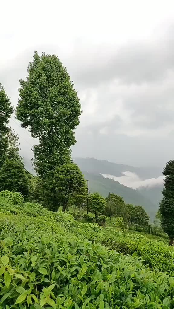 @ritesh.nandu