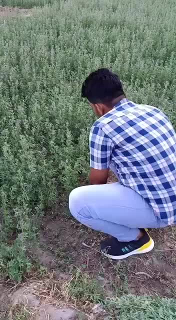 @रेवतड़ा सरकार