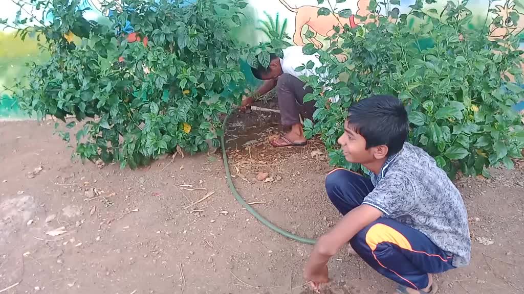 @Sanjay Jagdale