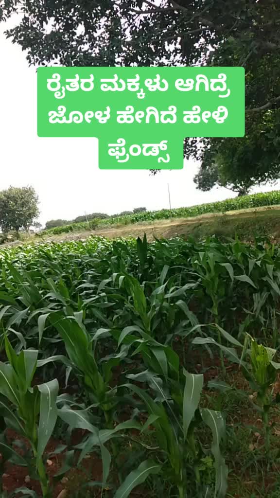@Dharma Gowda