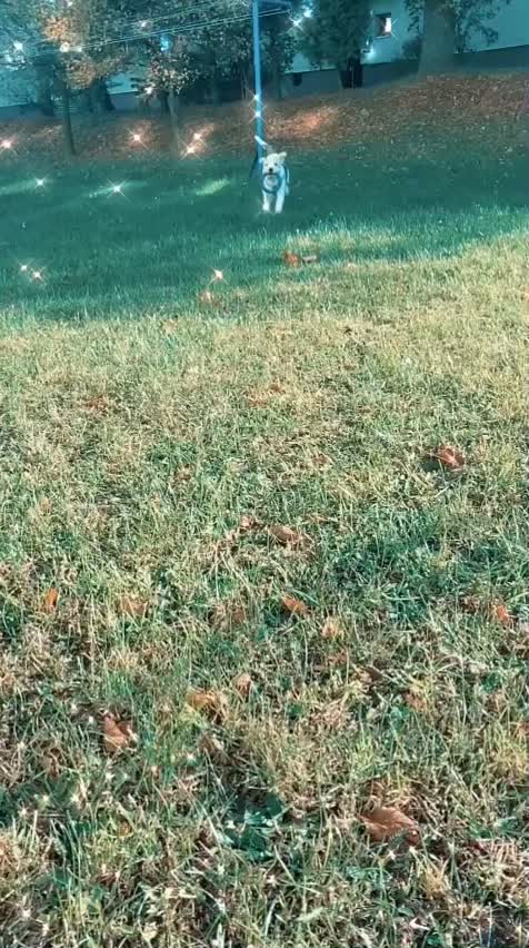 @𝐻𝑢𝑔𝑜