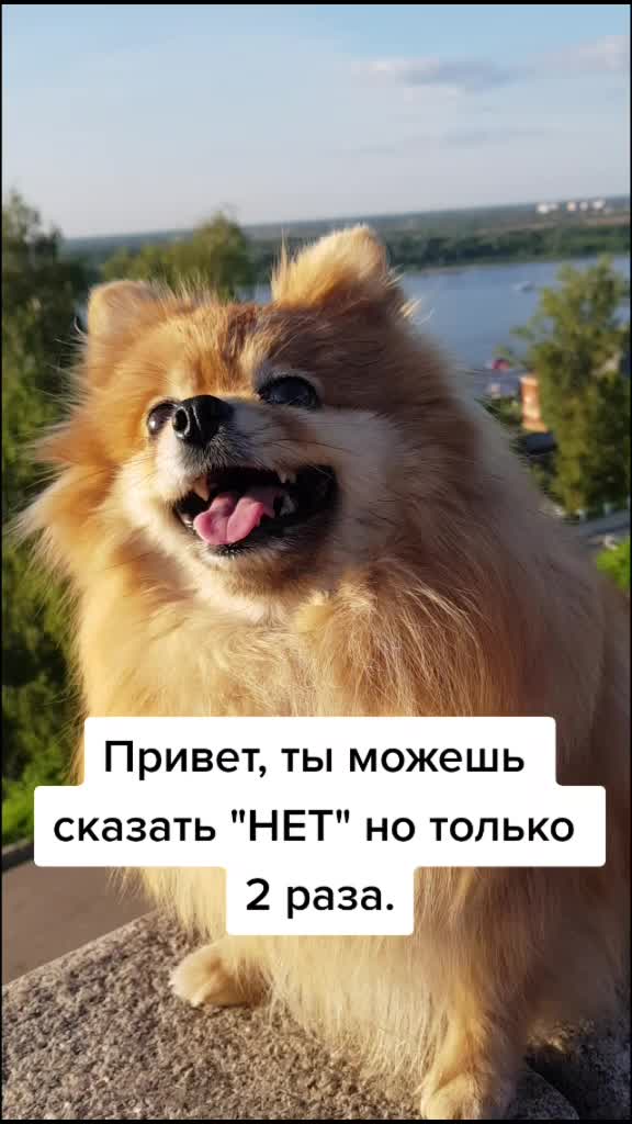 @busiya_cutie🐻♥️