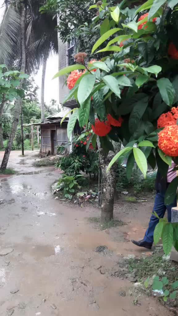 @Mintu Kar
