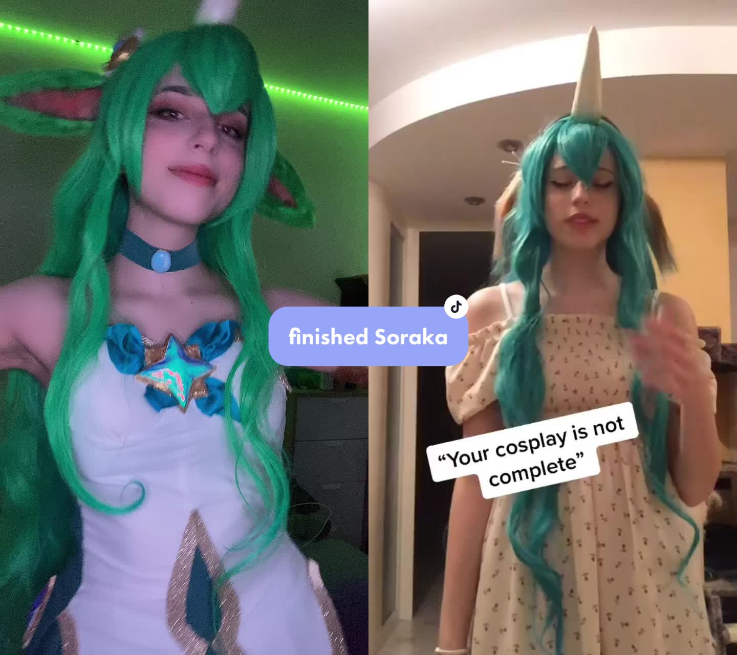 @KindShiba💕