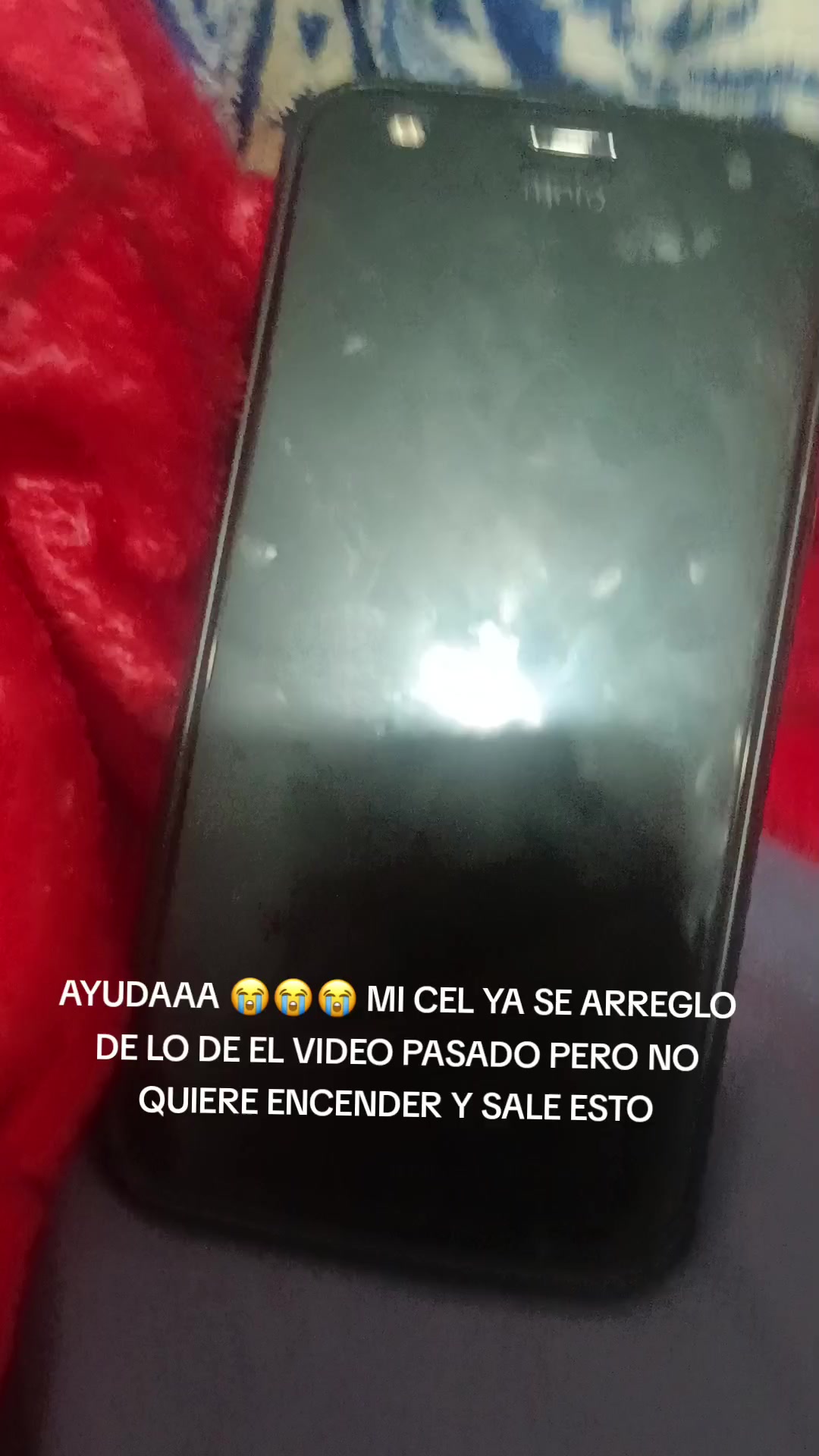 @el gato loquendo gamer 🎮