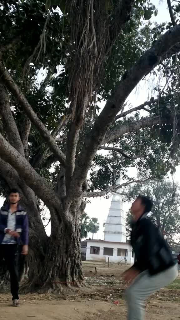 @Ashray Singh Chauhan