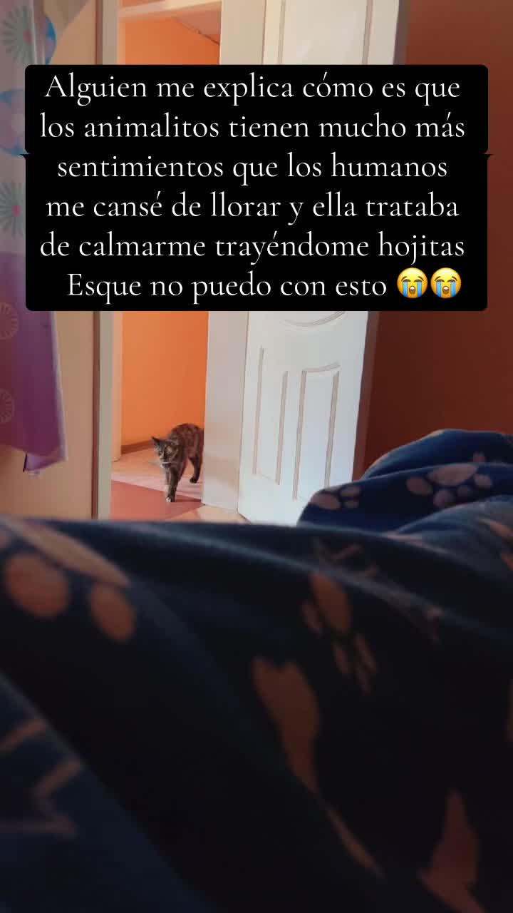 @Mary Tuquerres