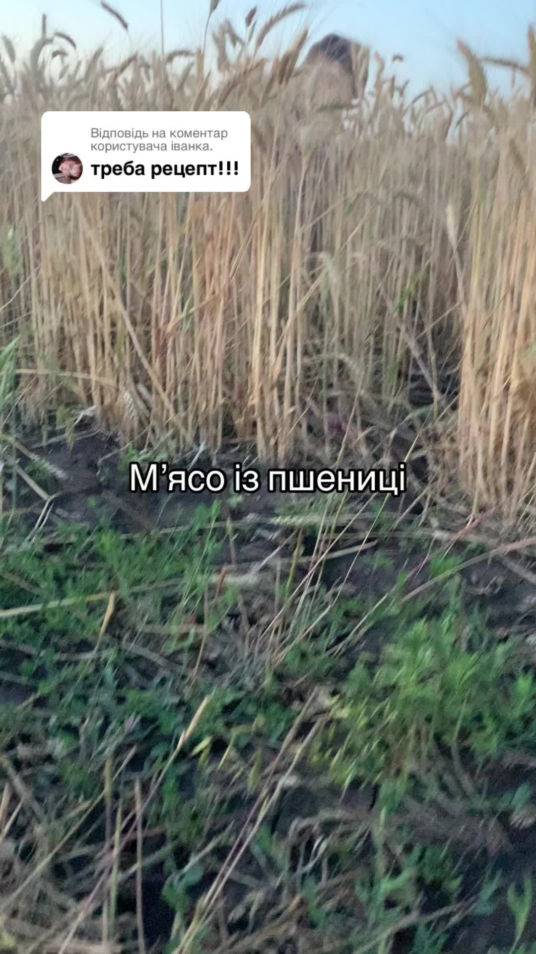 @КОТЯРА🇺🇦
