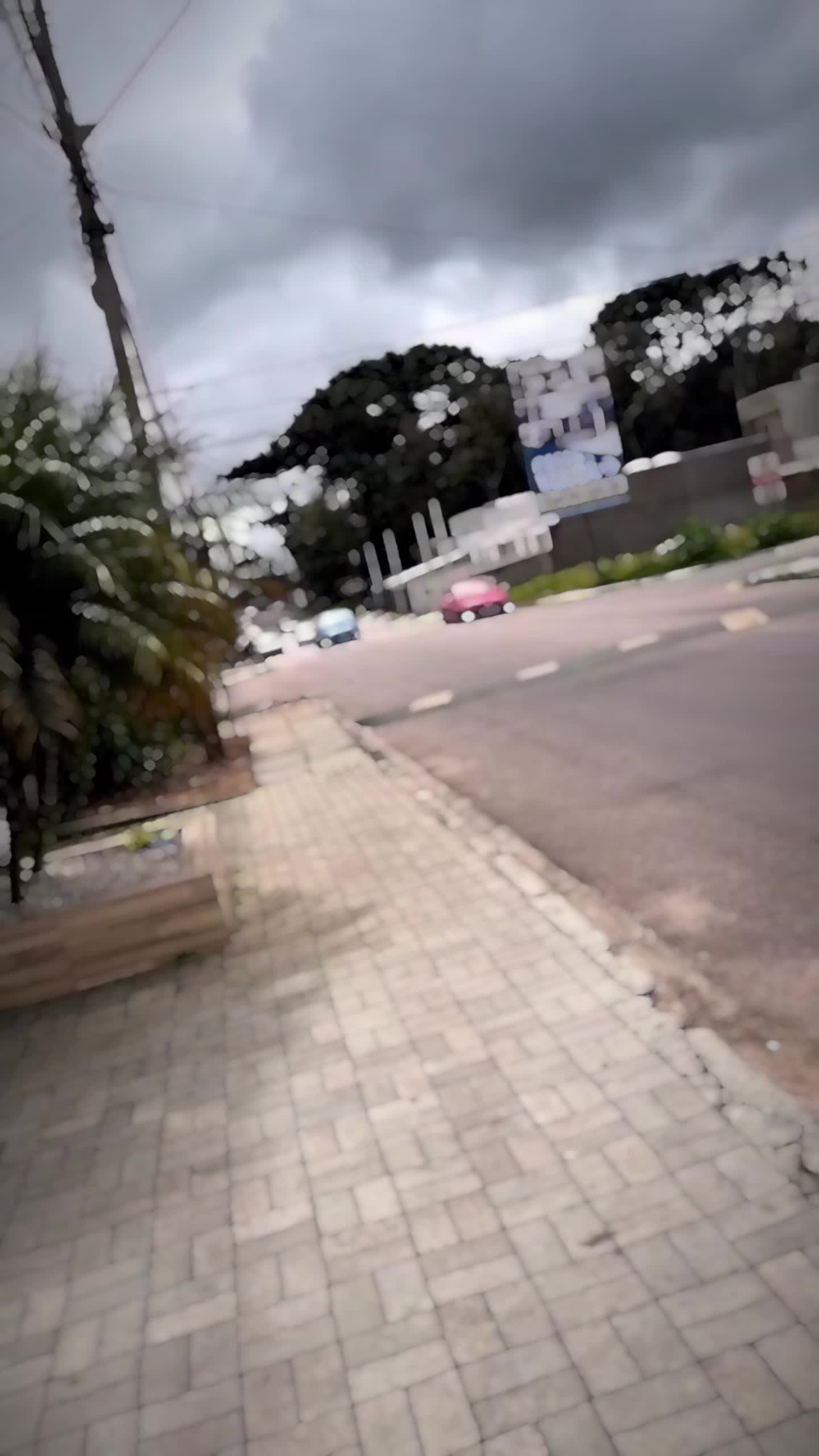 @obassettii