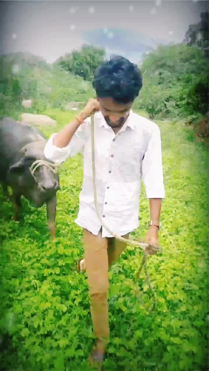 @BSS-Lucky001