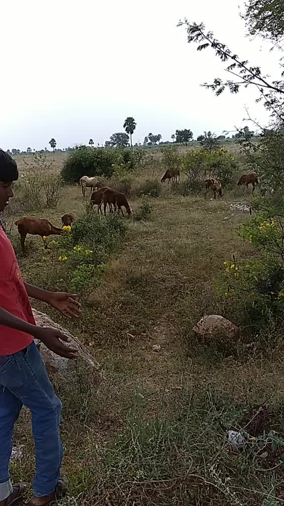 @Ganapathi Yadav2