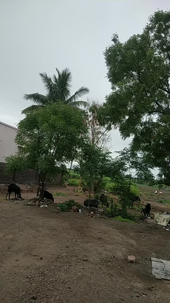 @madhu nagawade 21/25