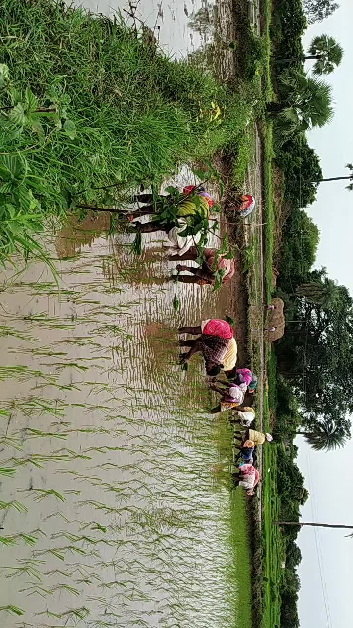 @SAI GOUD