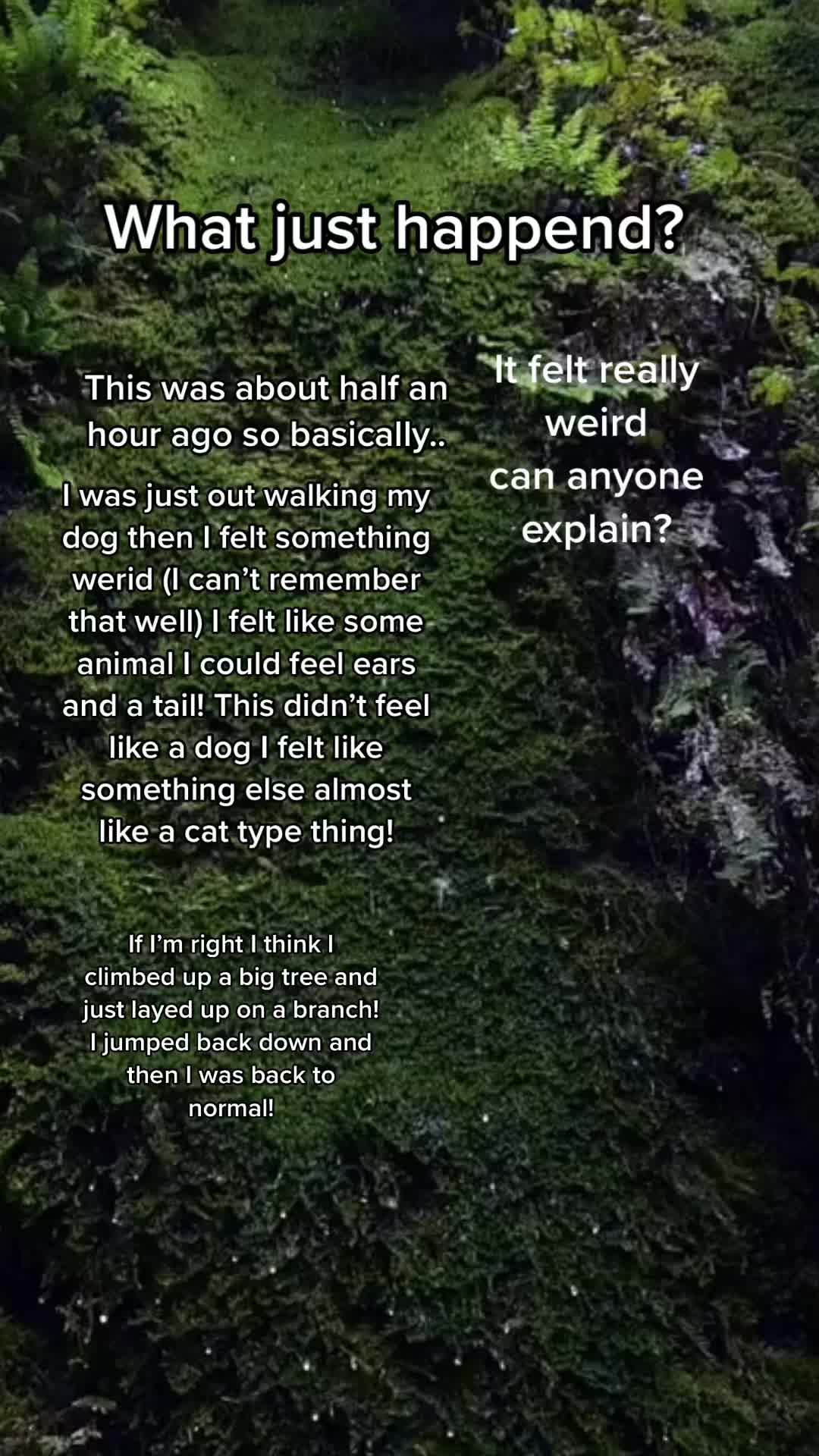 @｡･:*˚:✧｡𝗞𝗜𝗔𝗥𝗘𝗬𝗔