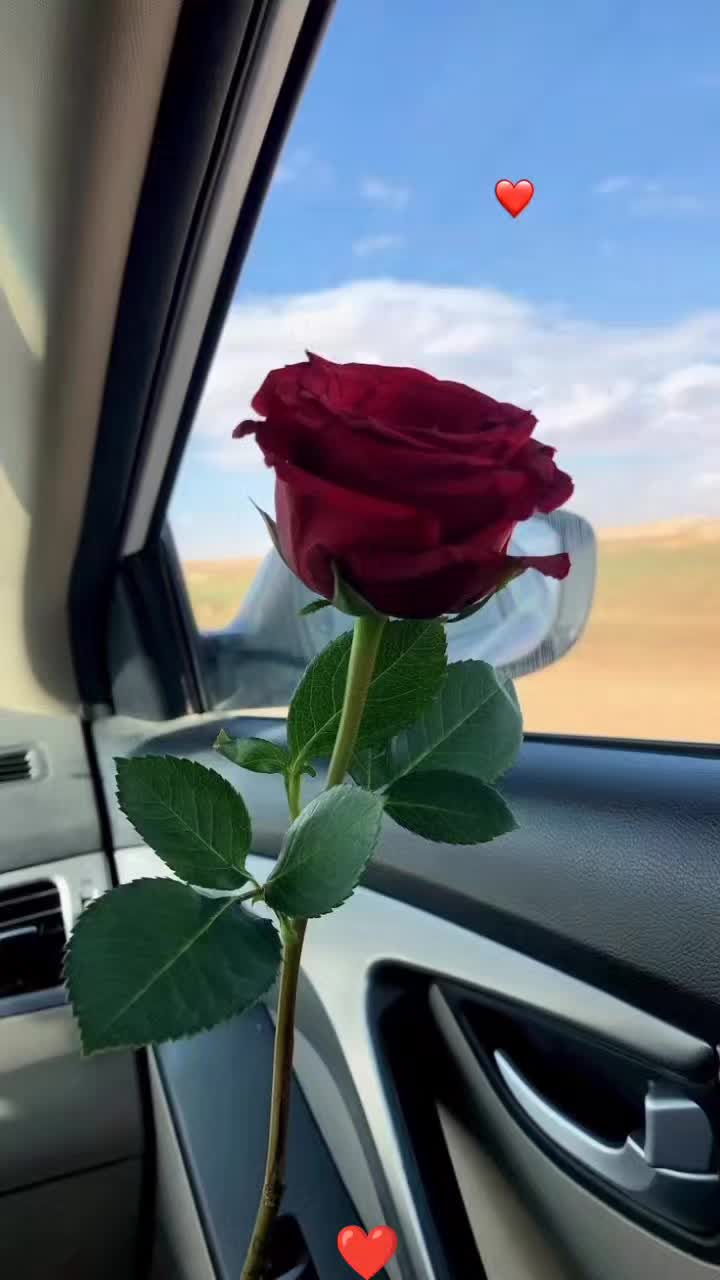 @suleymansen916