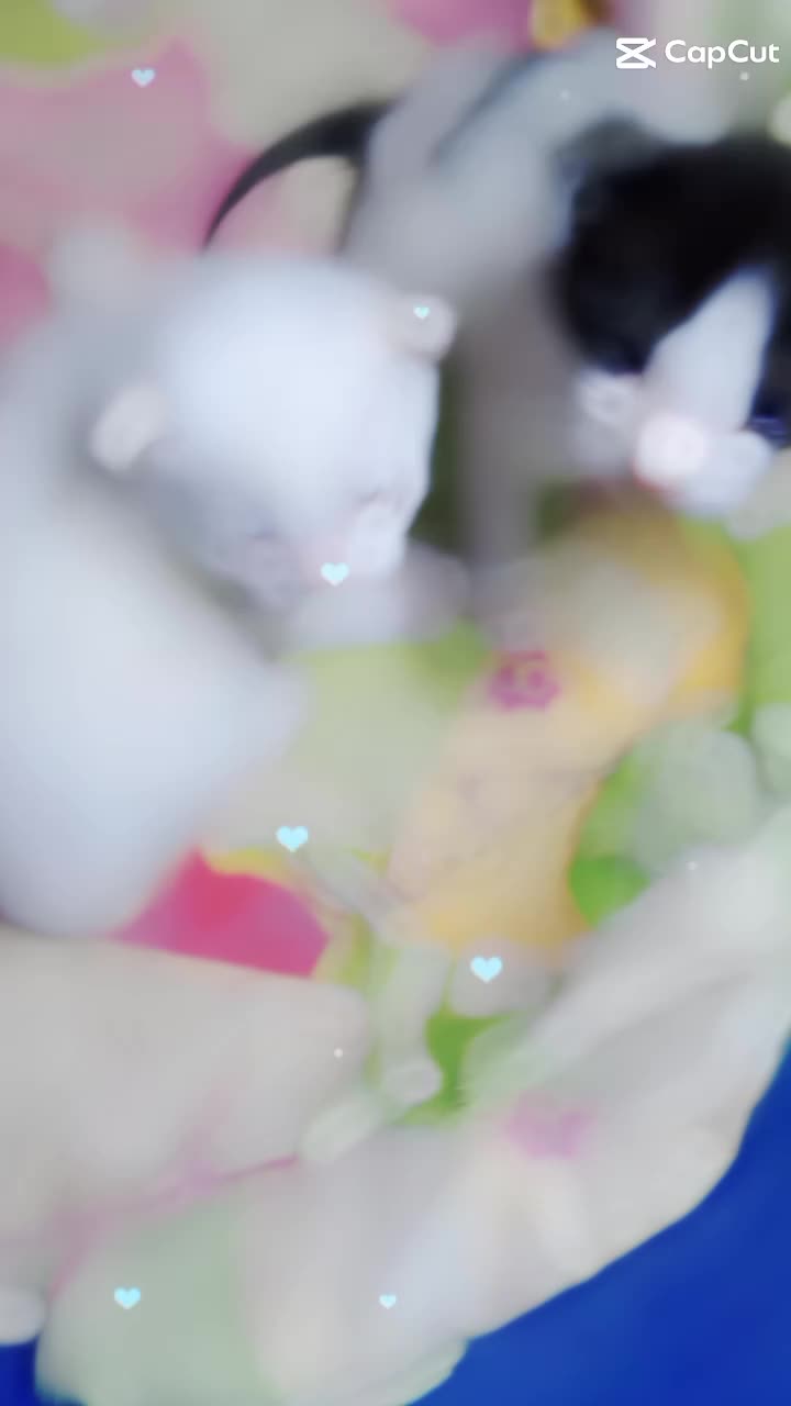 @ѕує&part;_ѕн&alpha;&fnof;&alpha;у_756