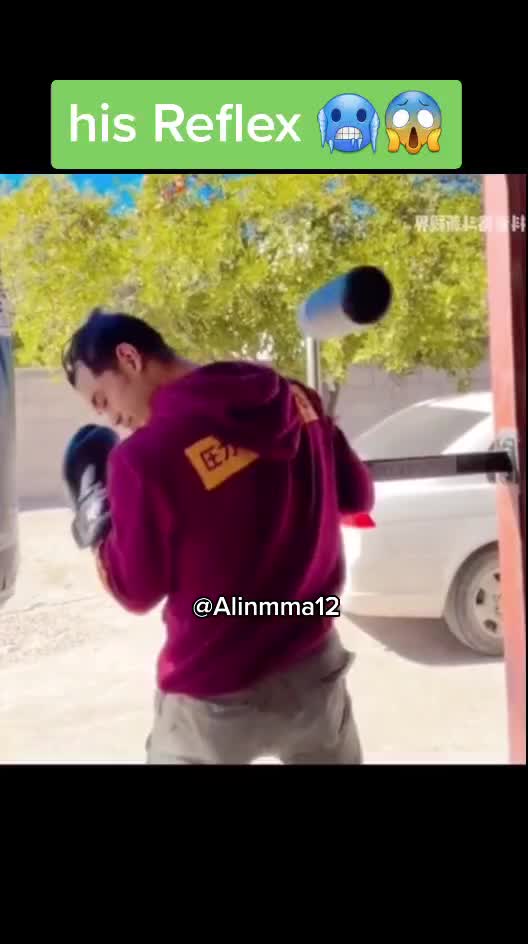 @Alinmma12