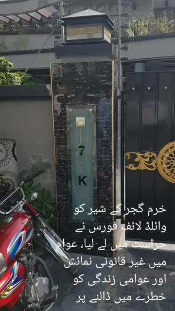 @kazi Jawwad