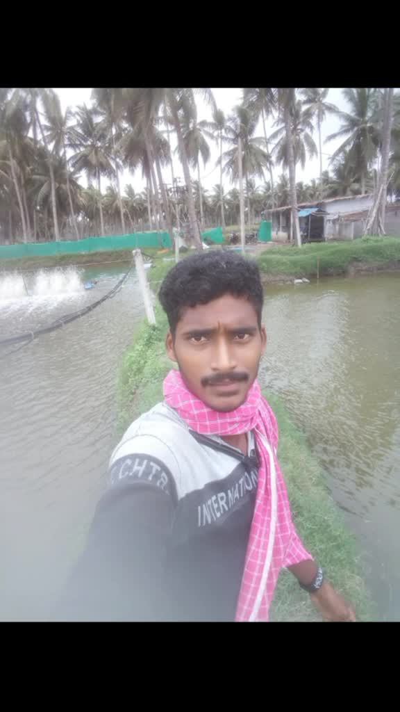 @kalpana mudiraj ..Rythu bidda