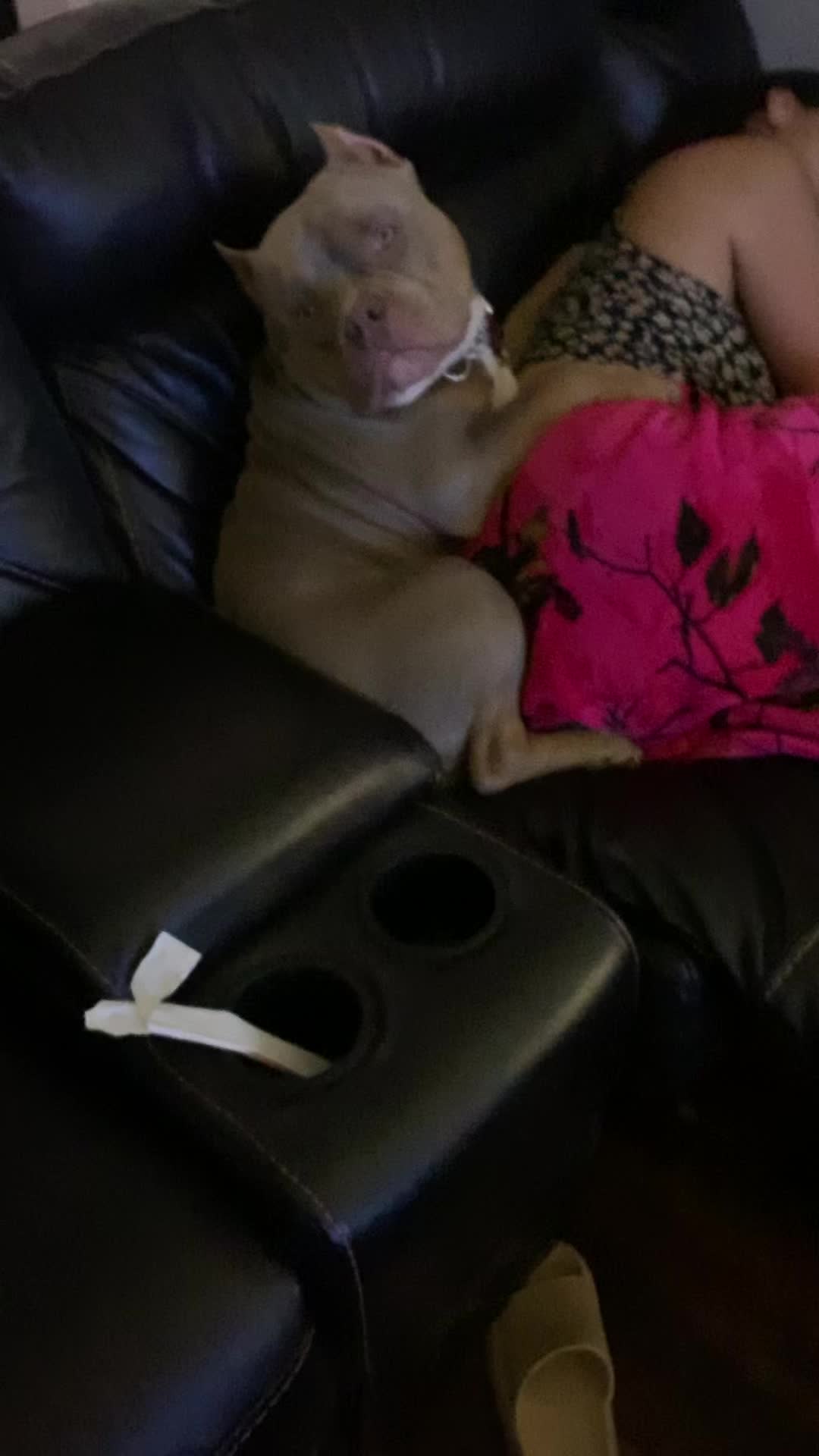 @chinomendezbully