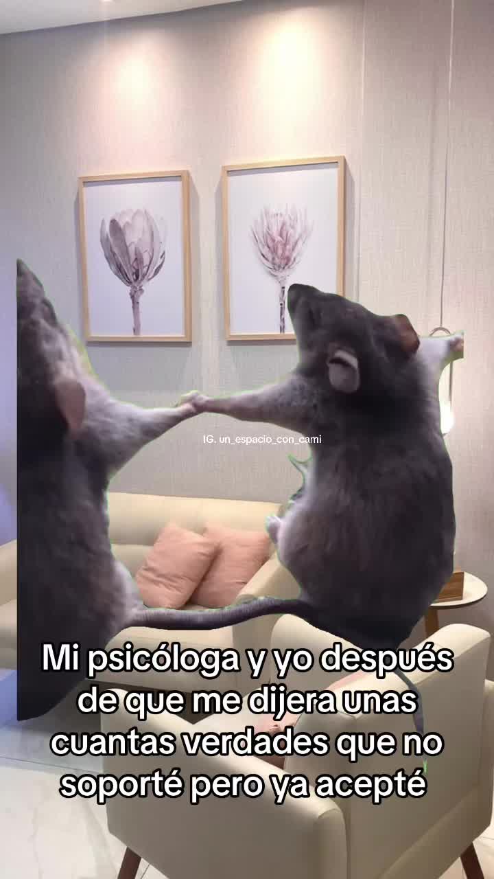 @Psic&oacute;loga Camila ✨