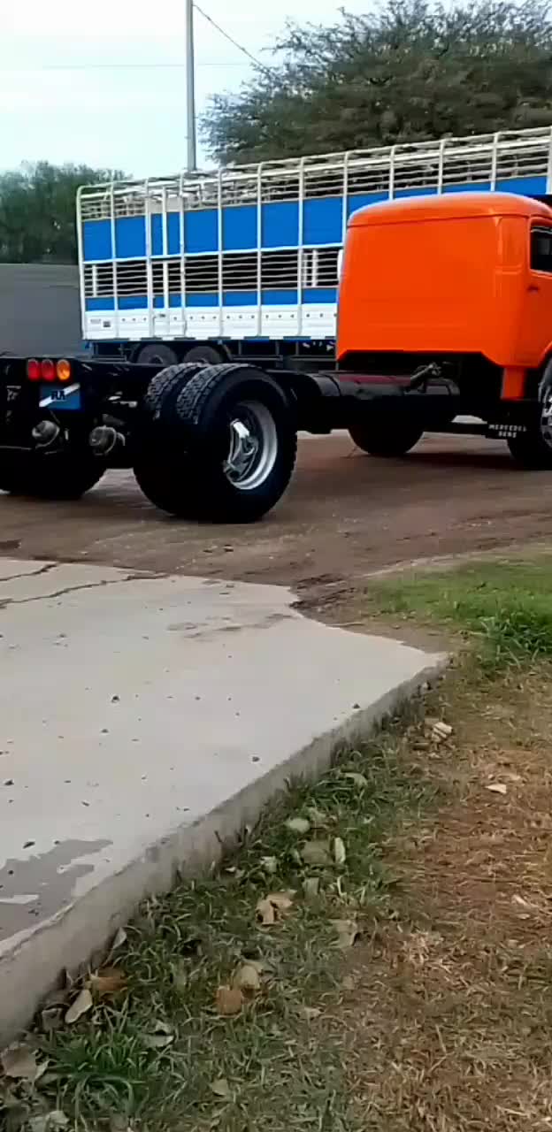 @robertolopez1620