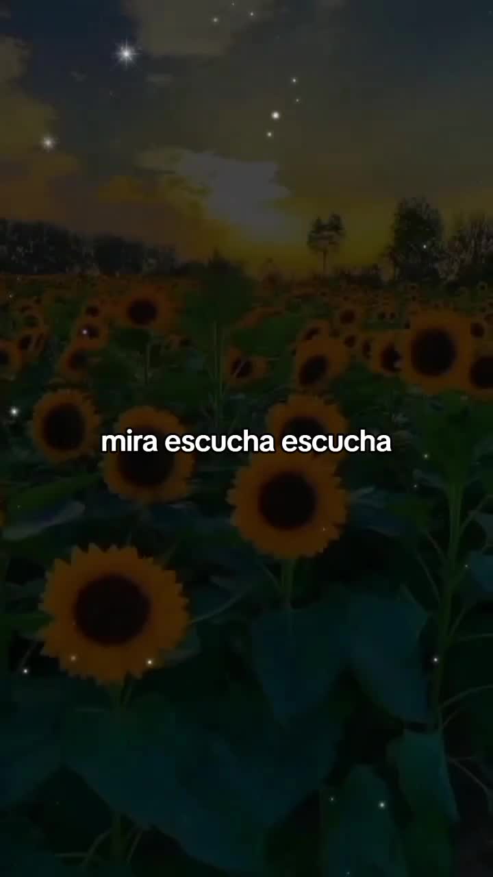 @Lizeth