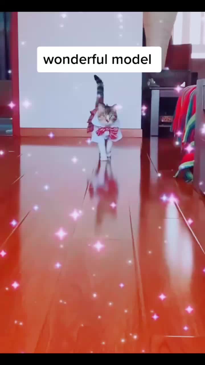 @user87357065893
