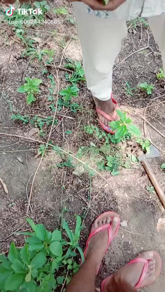 @Chakali Surender