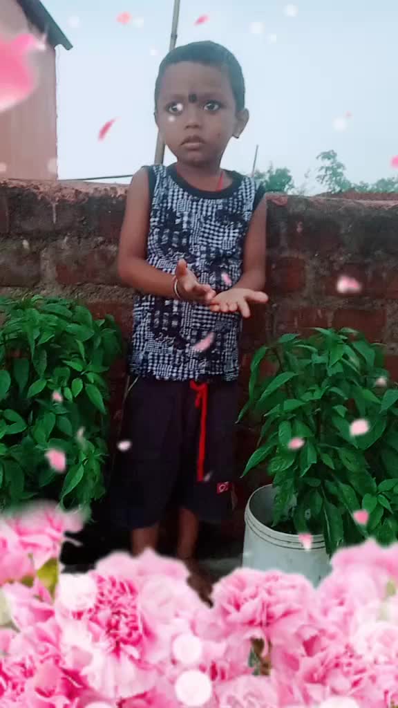 @Sulekha
