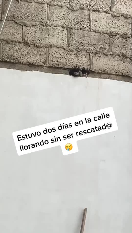 @Angie Ramos