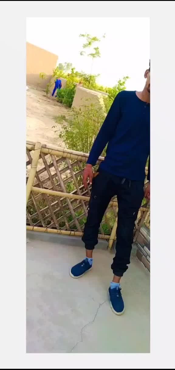 @Babu Gill