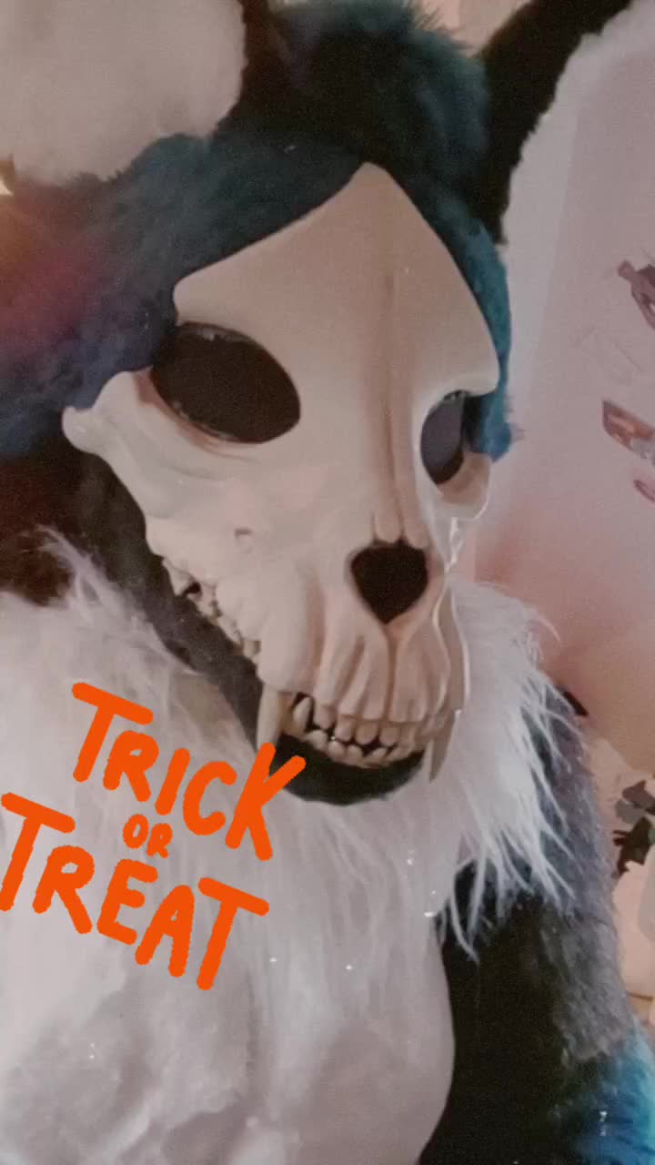 @KITJUNE