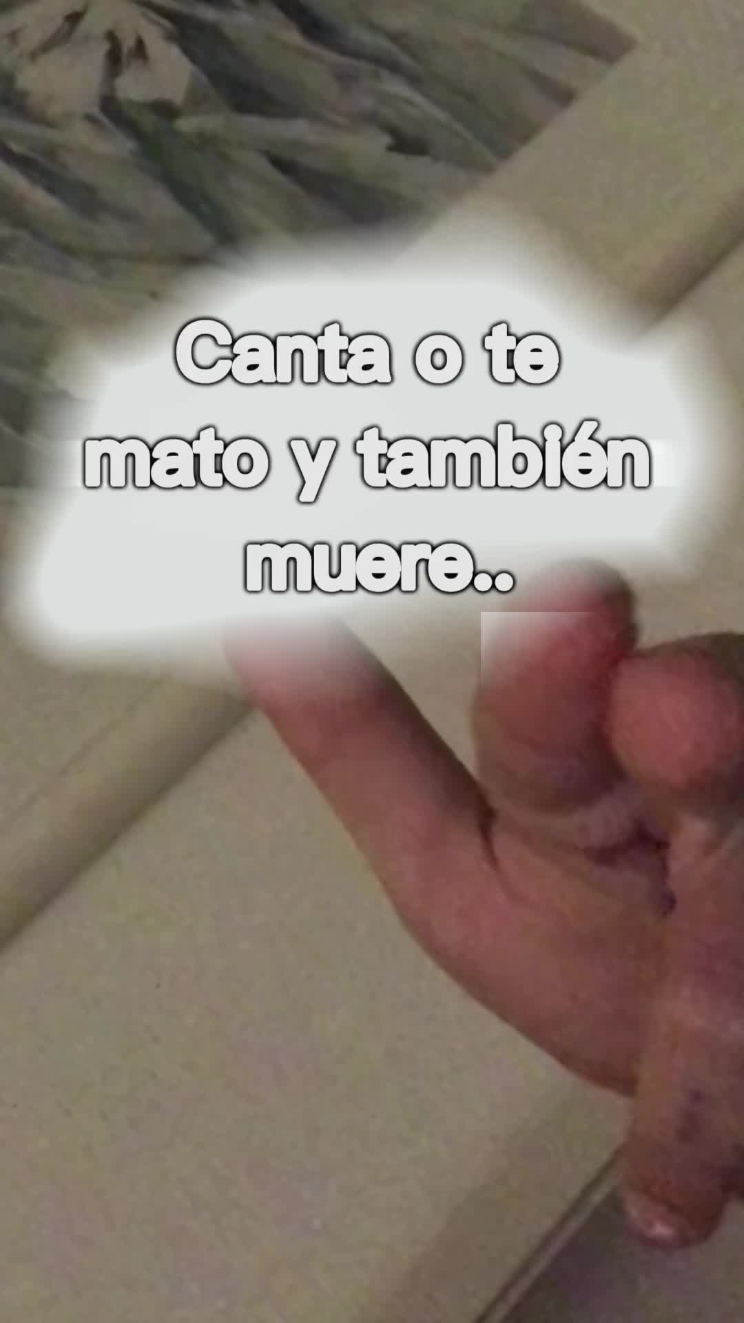 @♧V.I.K.I♧